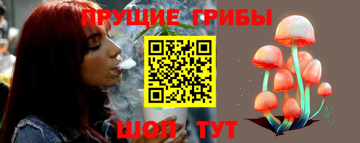 Галлюциногенные грибы GOLDEN TEACHER Славгород